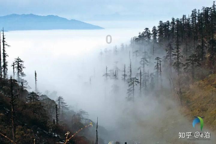 嘉日单词