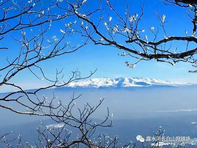 12速腾雨刷电路是啥控制的是电脑吗咋解决？游戏画面