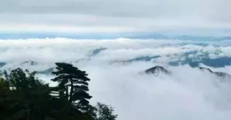大山羔羊逃生
