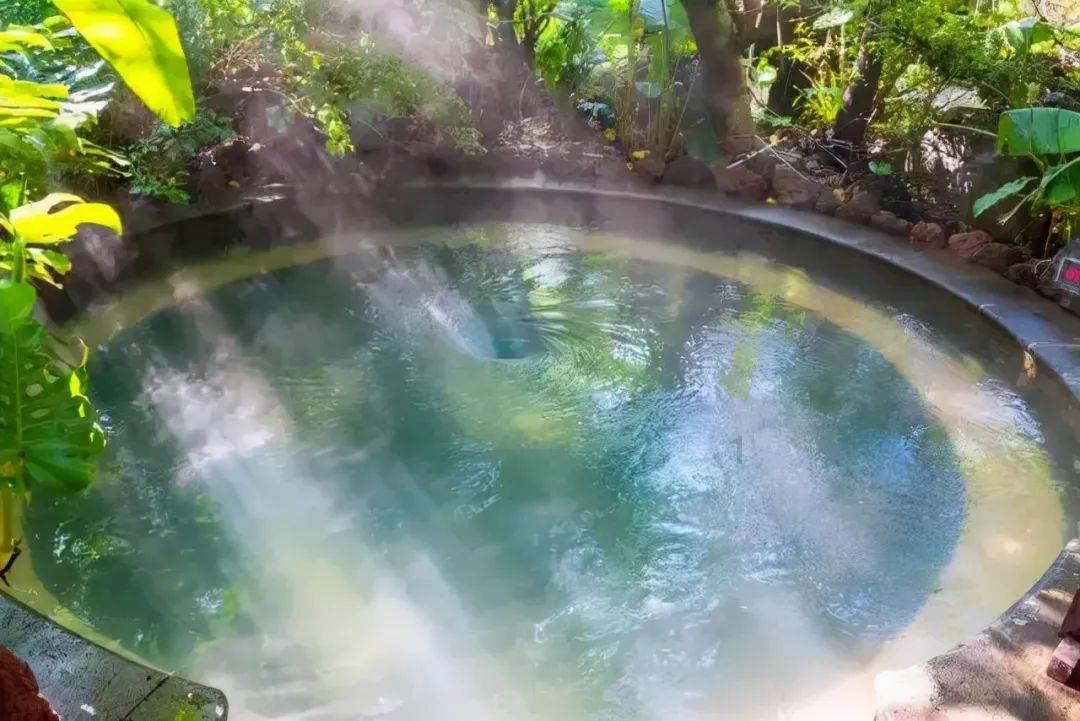 小僵尸射飞鸟