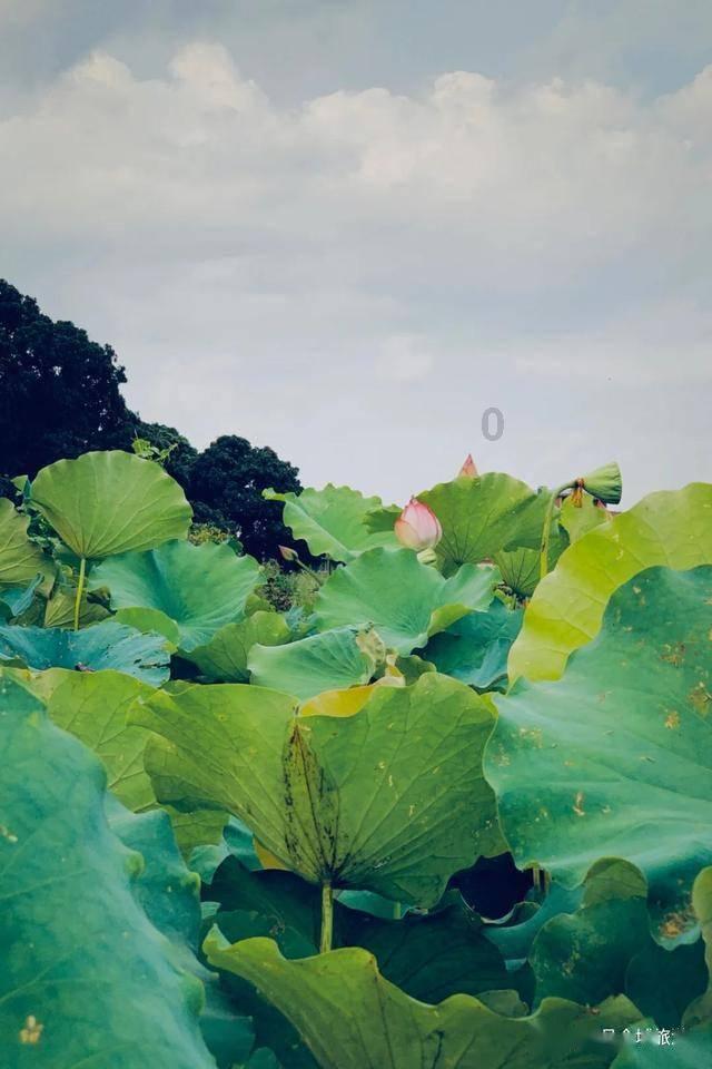 逃离宝藏岛屿