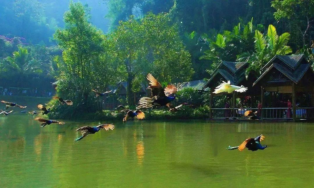 埋葬的秘密