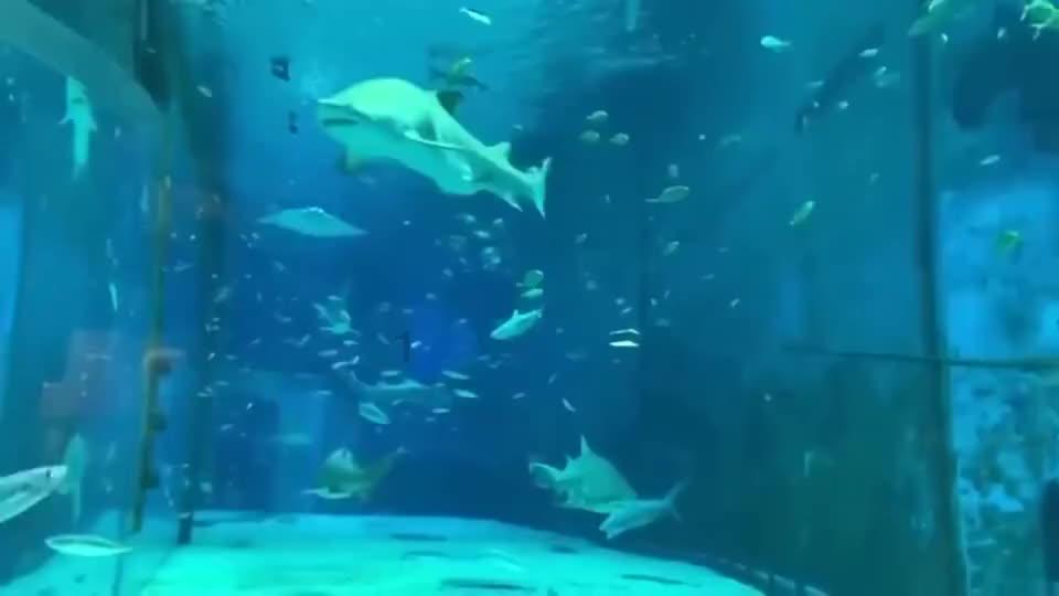 古龙群侠传