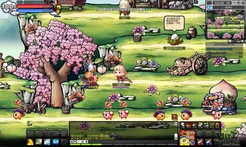 春雨直播app